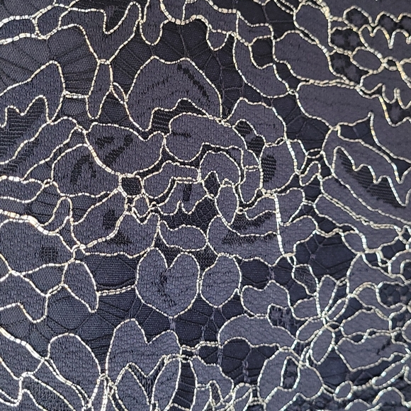 Lace sheath dress with removable shawl size 10P - Picture 5 of 9